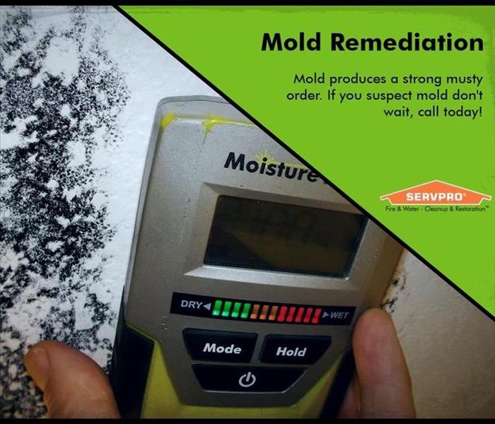 Moisture meter on wall with mold