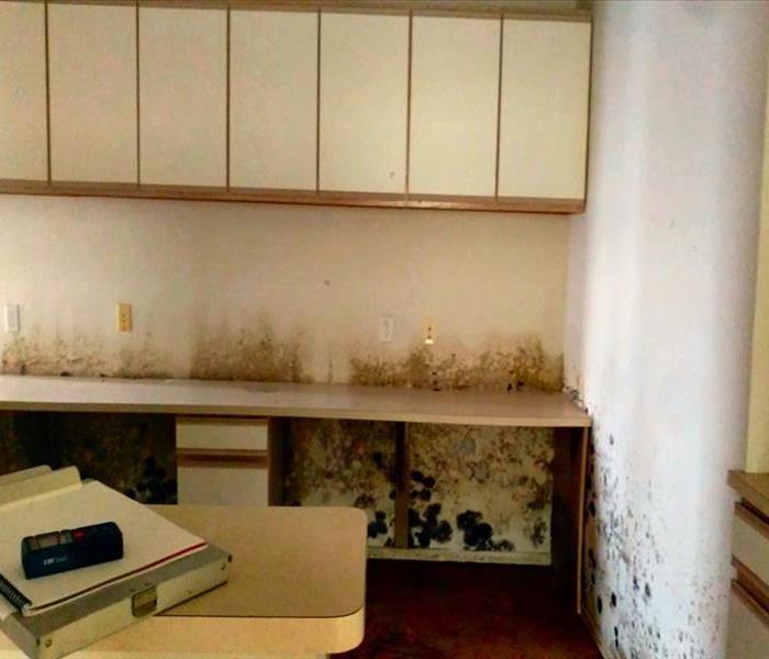 Commercial Mold Loss