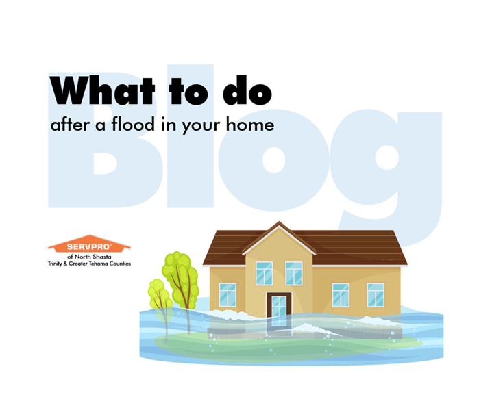 Graphic of a home under a flood