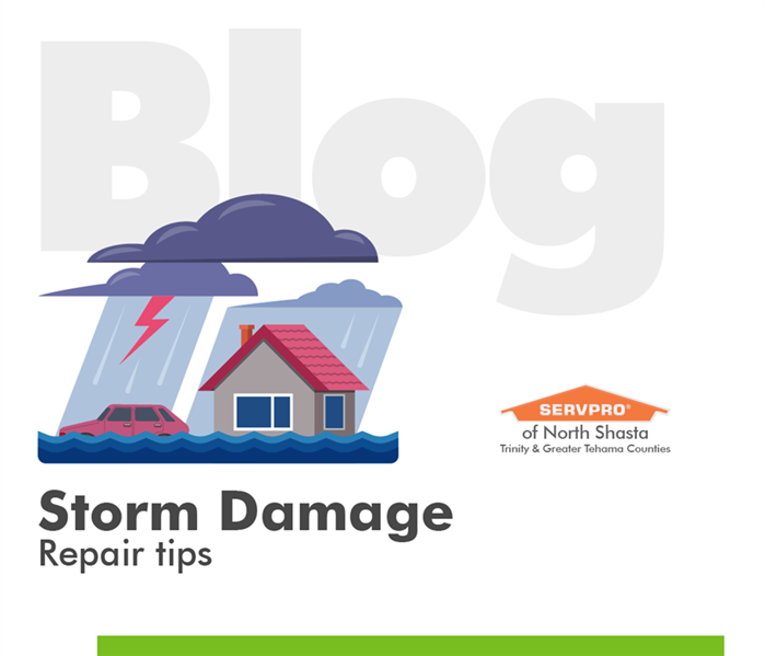 Graphic of a home in a storm