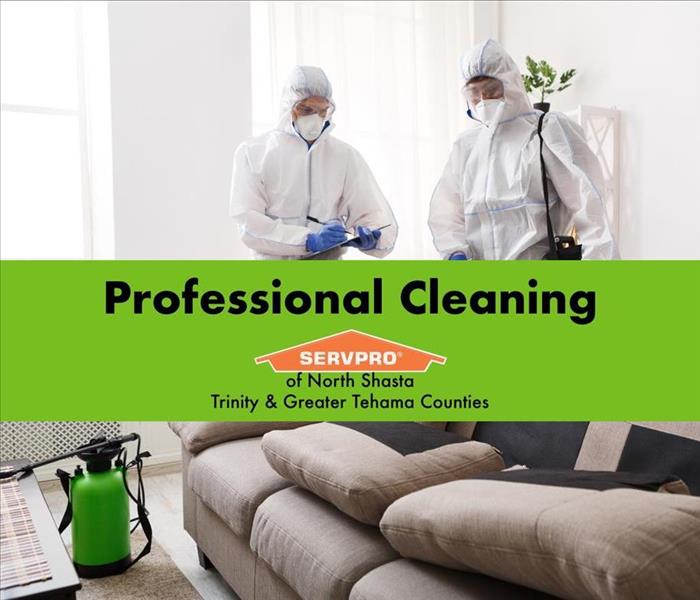 Professional technicians cleaning a house