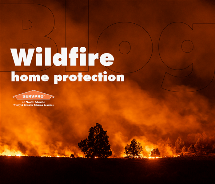 Image of a wildfire with text