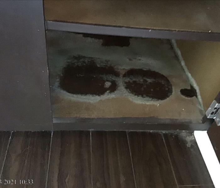 Mold in a cabinet after water damage