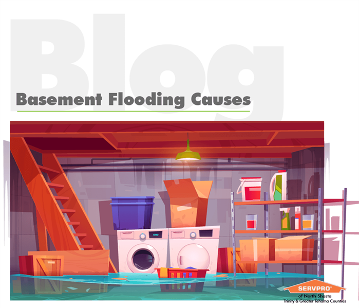 A graphic of a basement flood