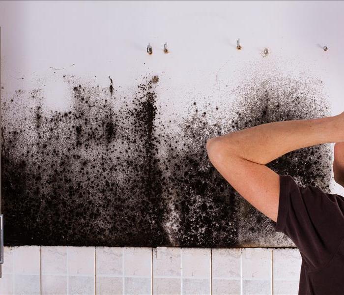 Mold on walls in Shasta County