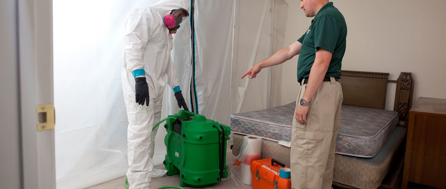 Redding, CA mold removal process